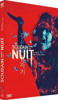 Soudain dans la nuit [DVD]