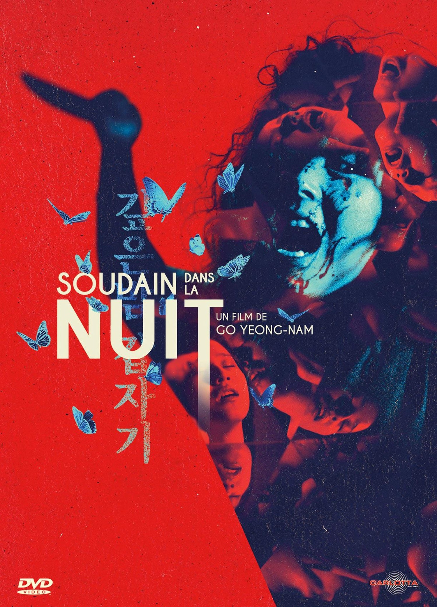 Soudain dans la nuit [DVD]