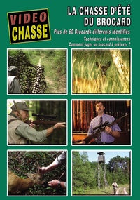 La Chasse d'été du brocard [DVD]