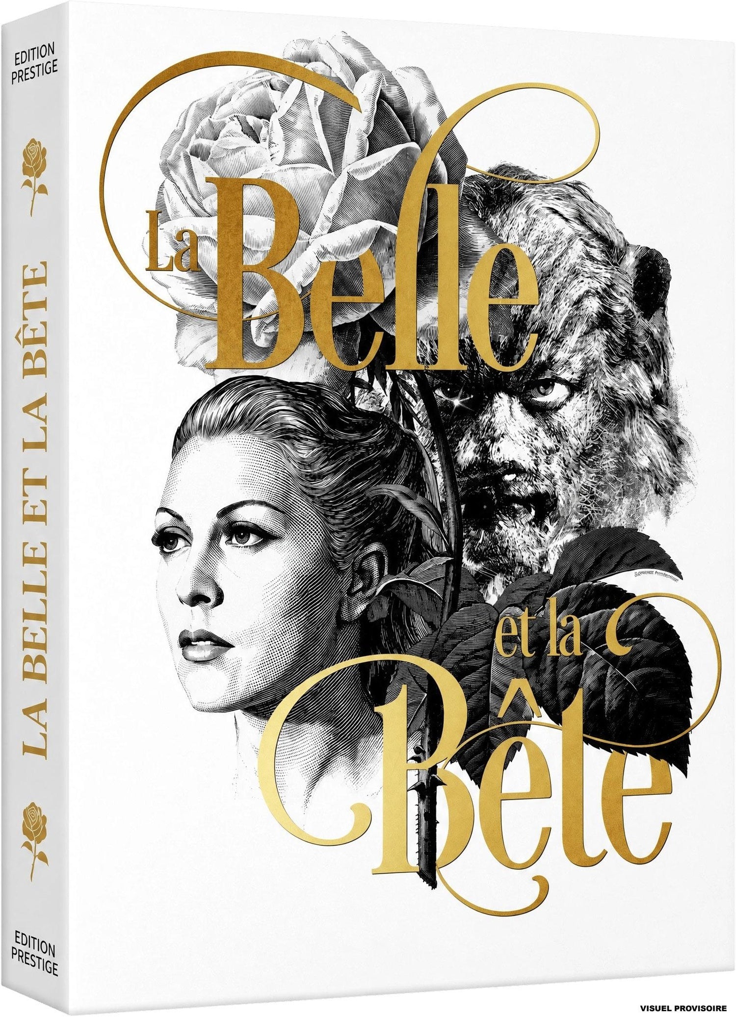 La Belle et la Bête [4K Ultra HD]