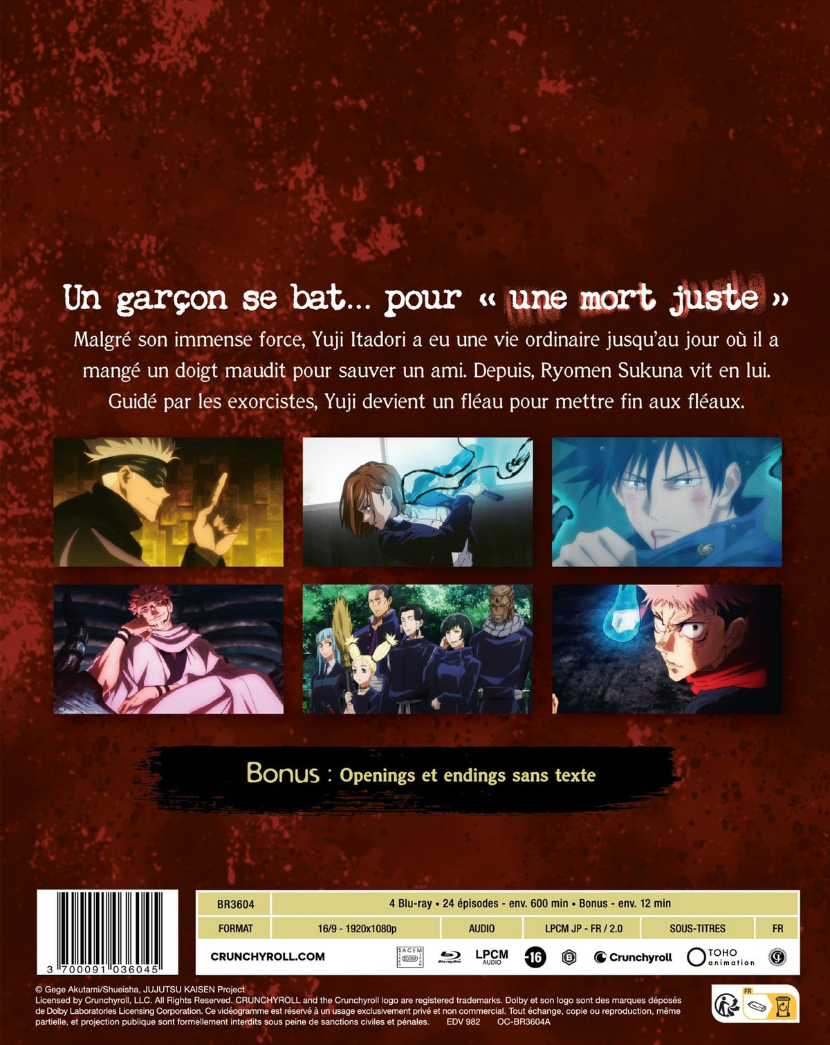 Jujutsu Kaisen - Saison 1 [Blu-ray]