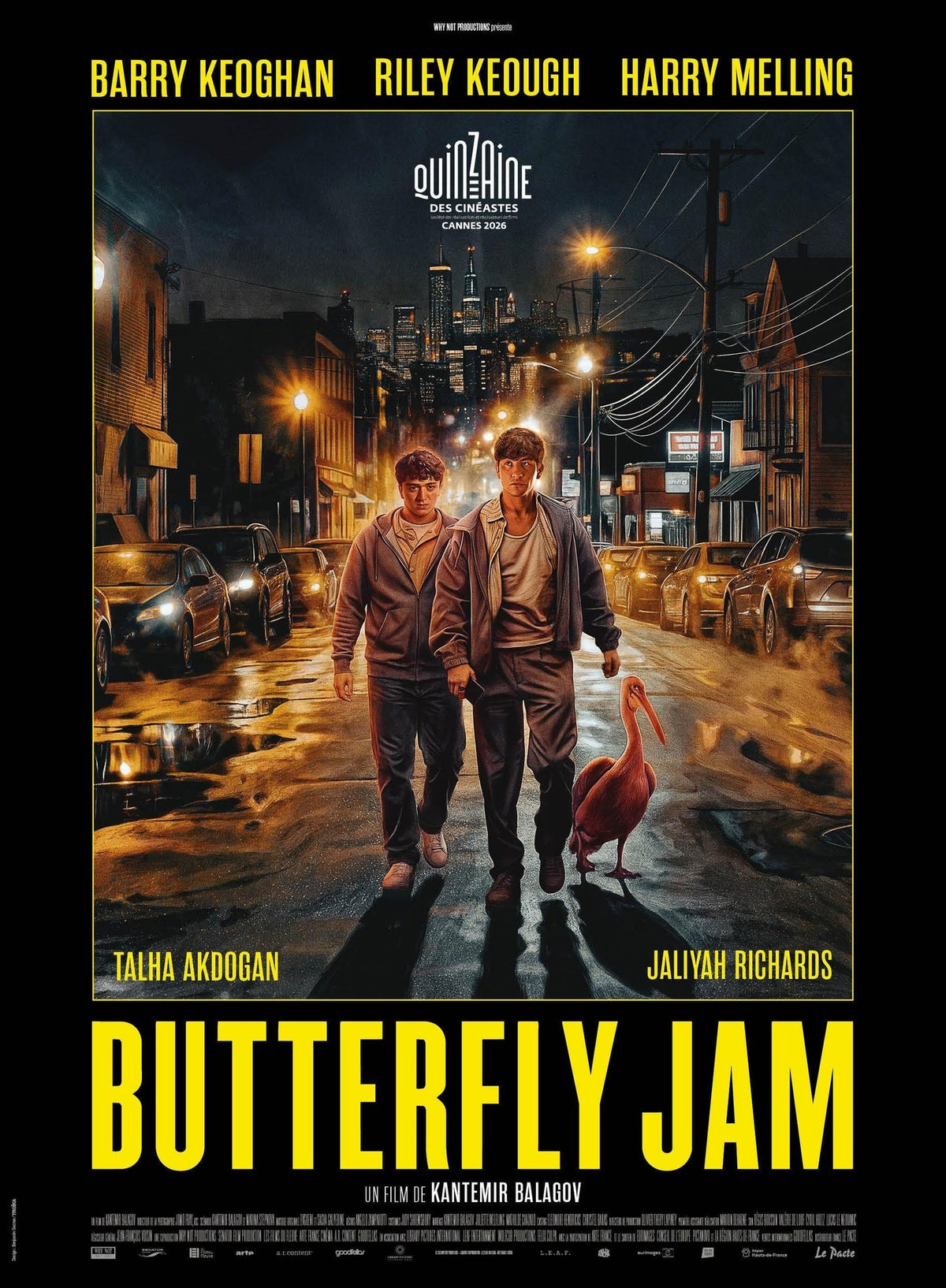 Butterfly Jam [DVD]