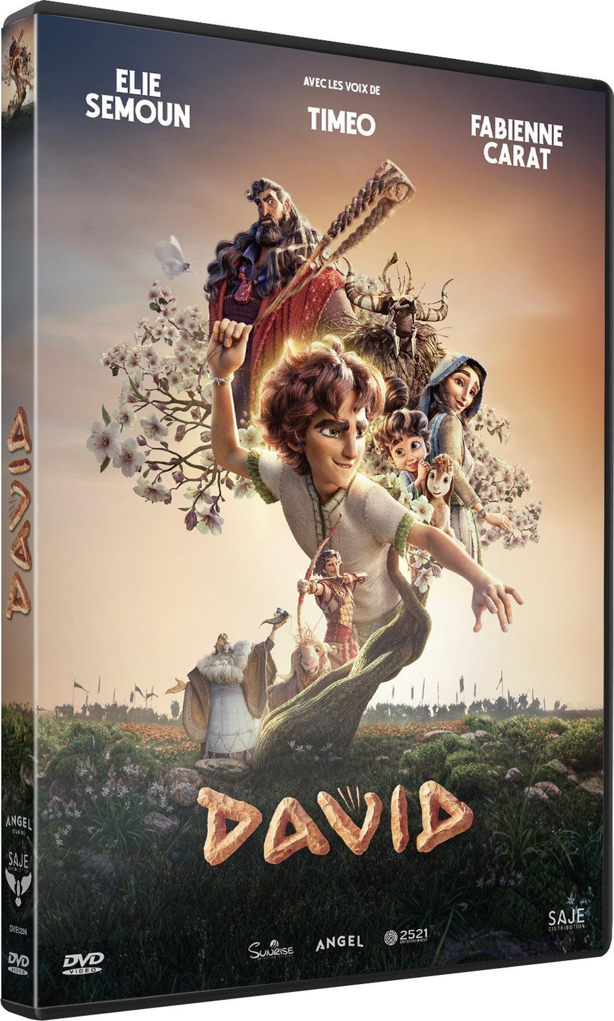 David [DVD]