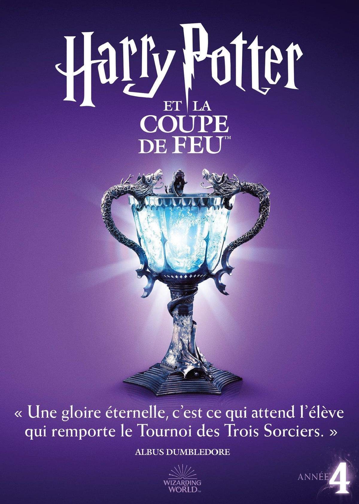 Harry Potter et la Coupe de Feu [DVD]