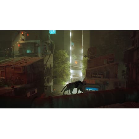 Stray - flash vidéo