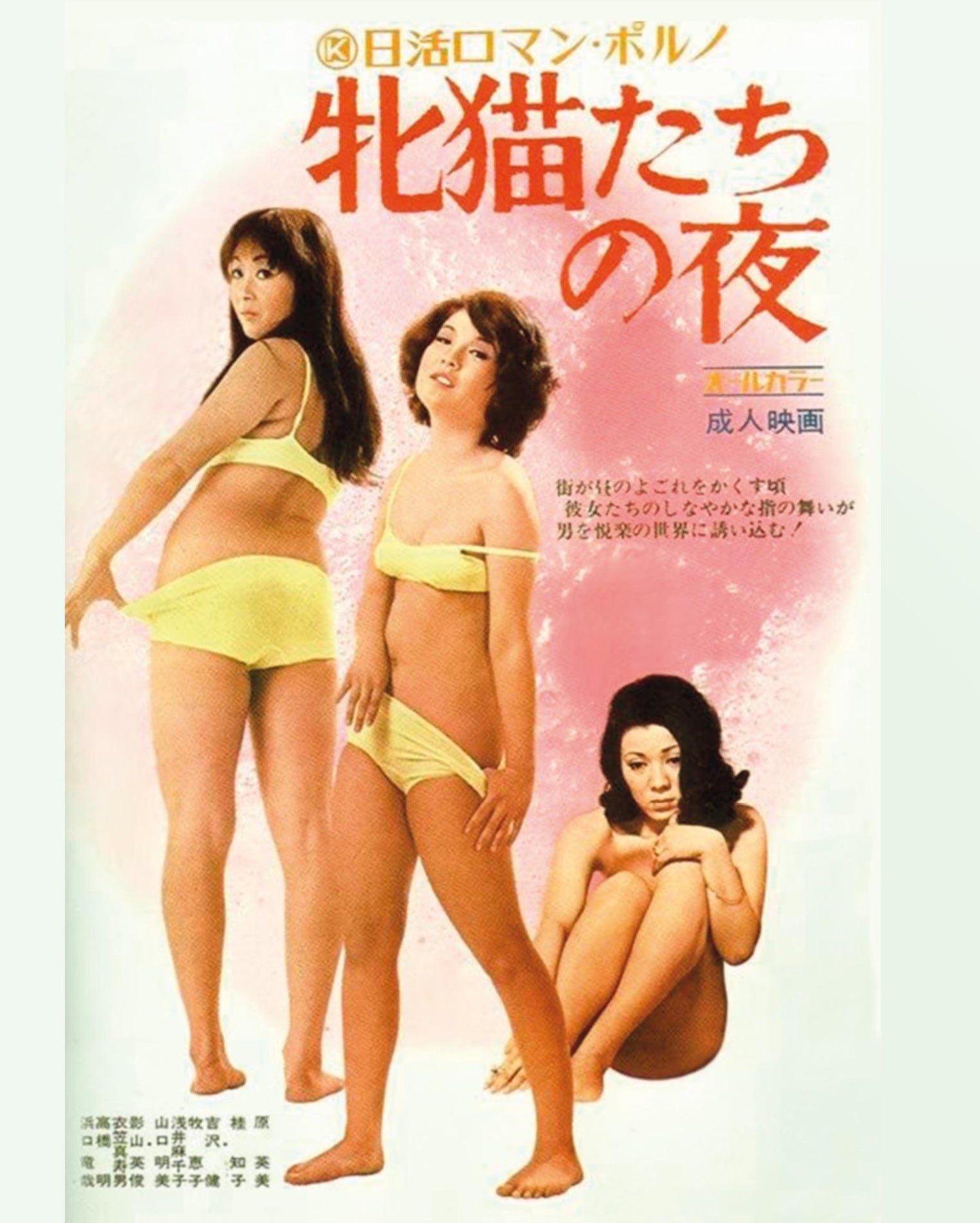Nuits félines à Shinjuku [Blu-ray]