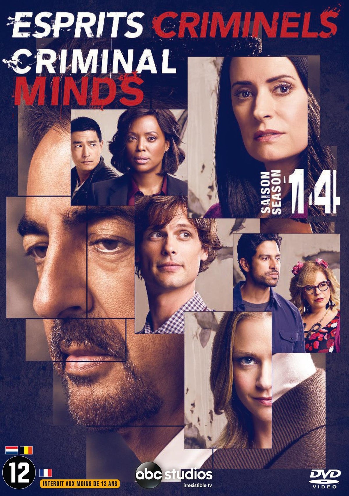 Esprits criminels - Saison 14 [DVD]