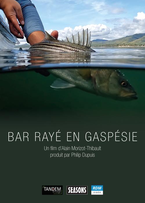 Bar rayé en Gaspésie [DVD]