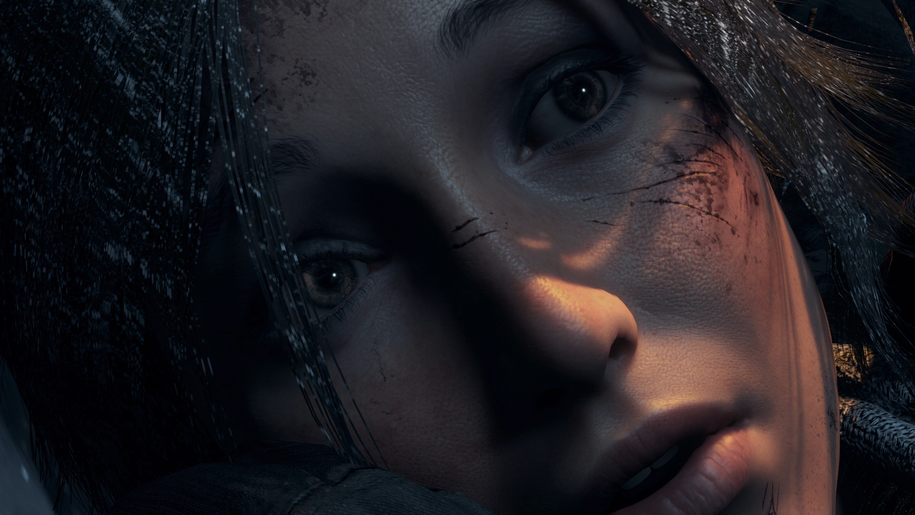 Rise of the Tomb Raider: 20 Year Celebration Edition - flash vidéo