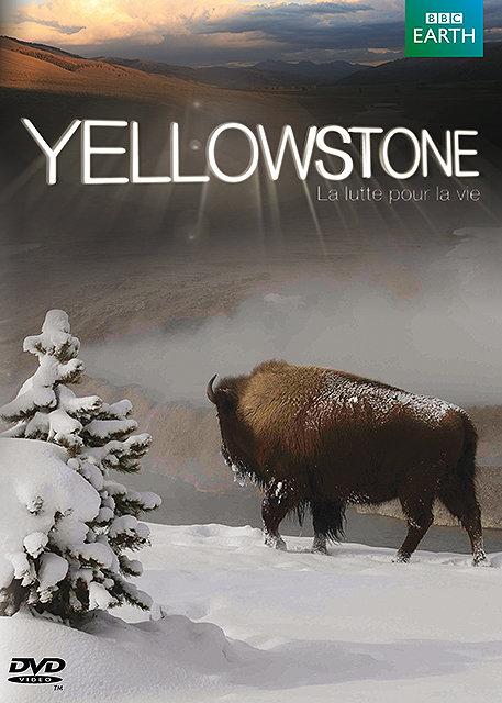 Yellowstone, la lutte pour la vie [DVD]