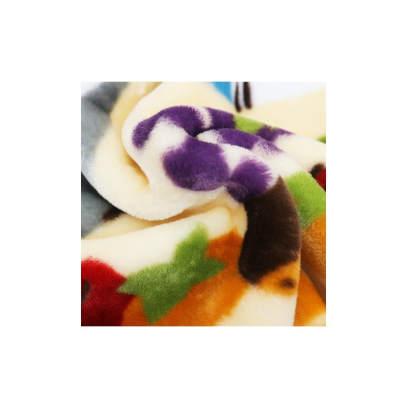 COUVERTURE TOTORO AUTOMNE - MON VOISIN TOTORO