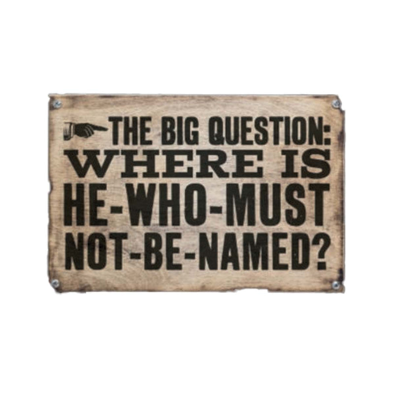 Wizarding World - Harry Potter - Panneau - The Big Question