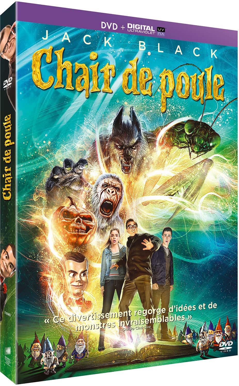 Chair de poule - Le film [DVD]