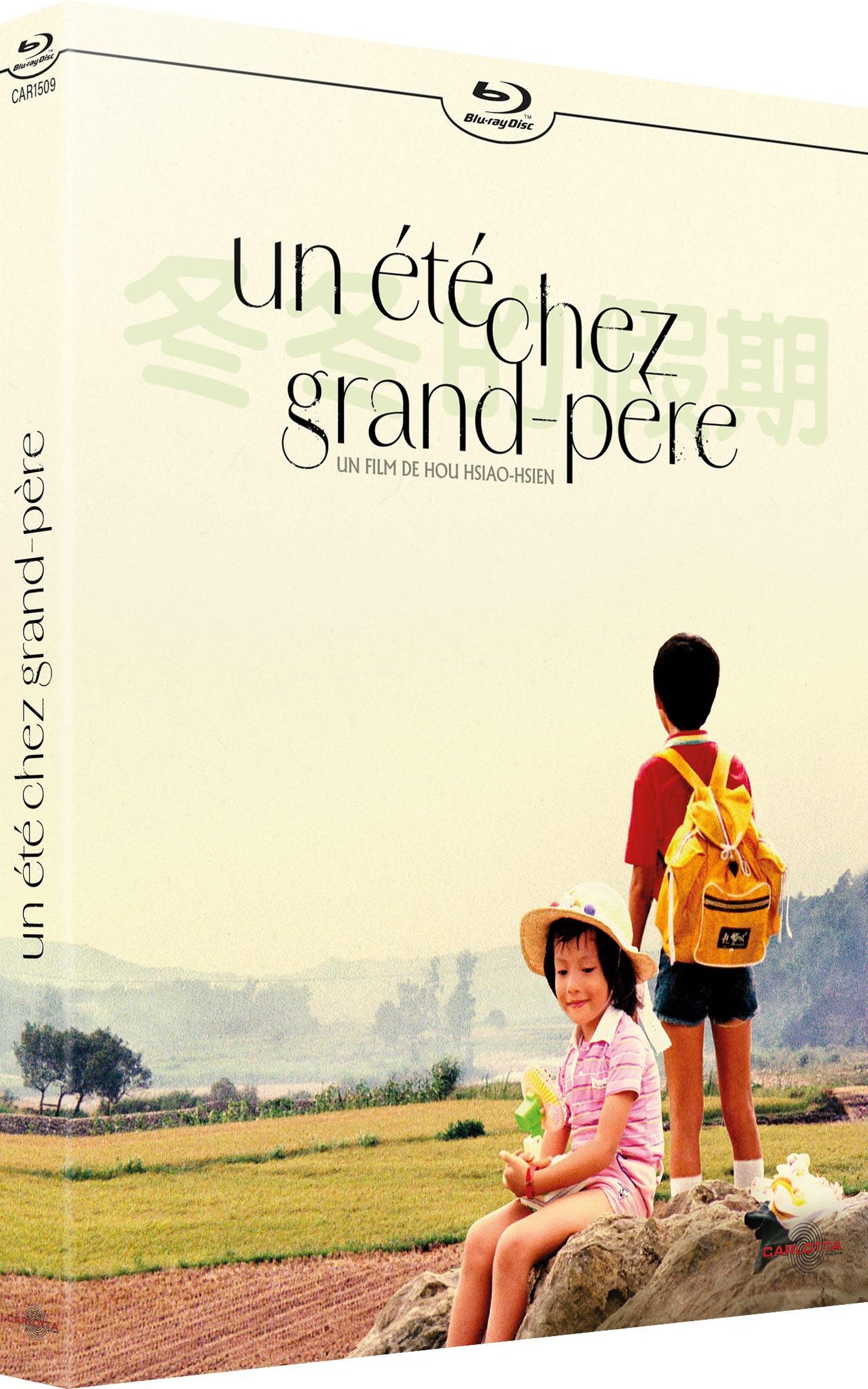 Un été chez grand-père [Blu-ray]