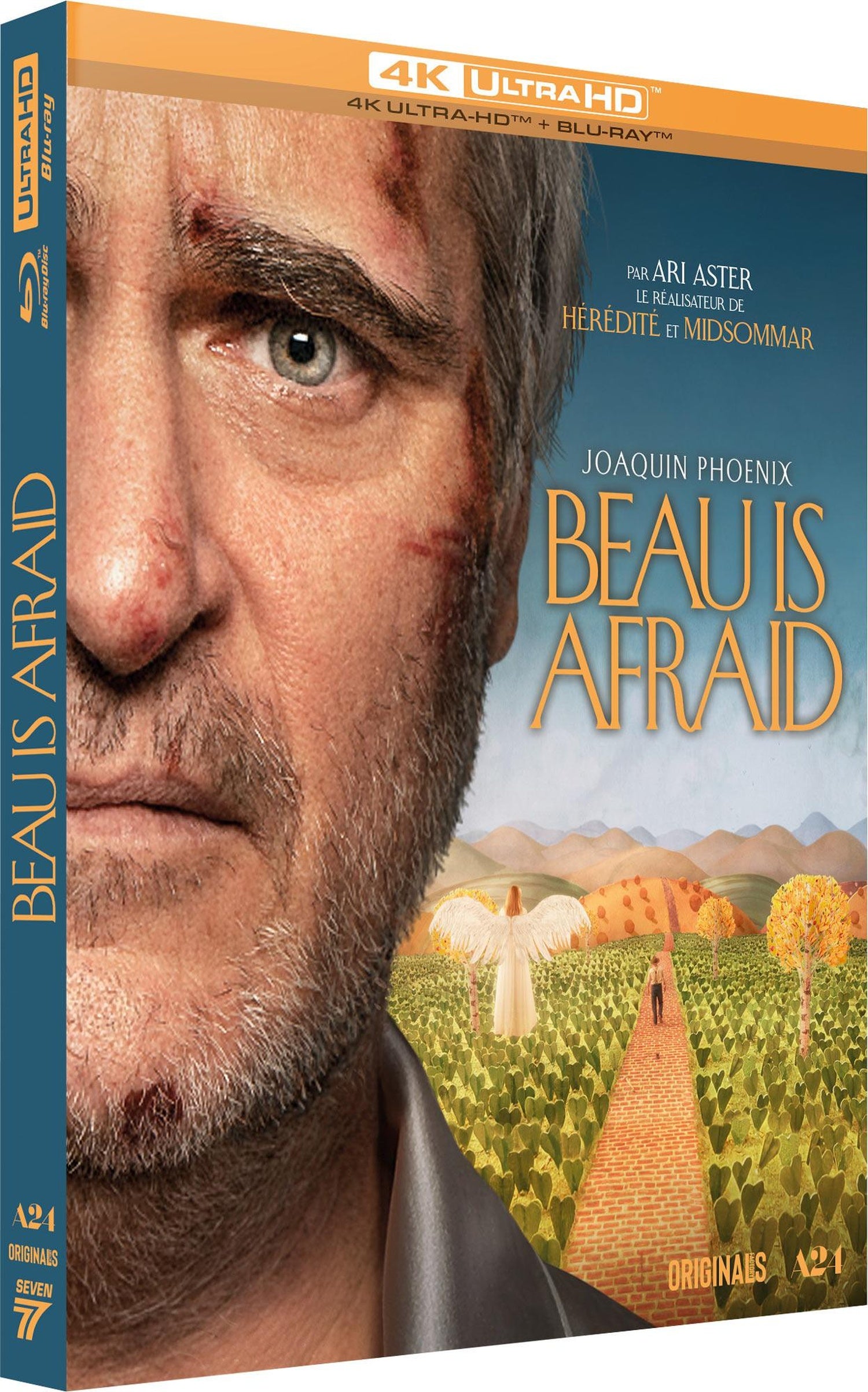 Beau is Afraid [4K Ultra HD]