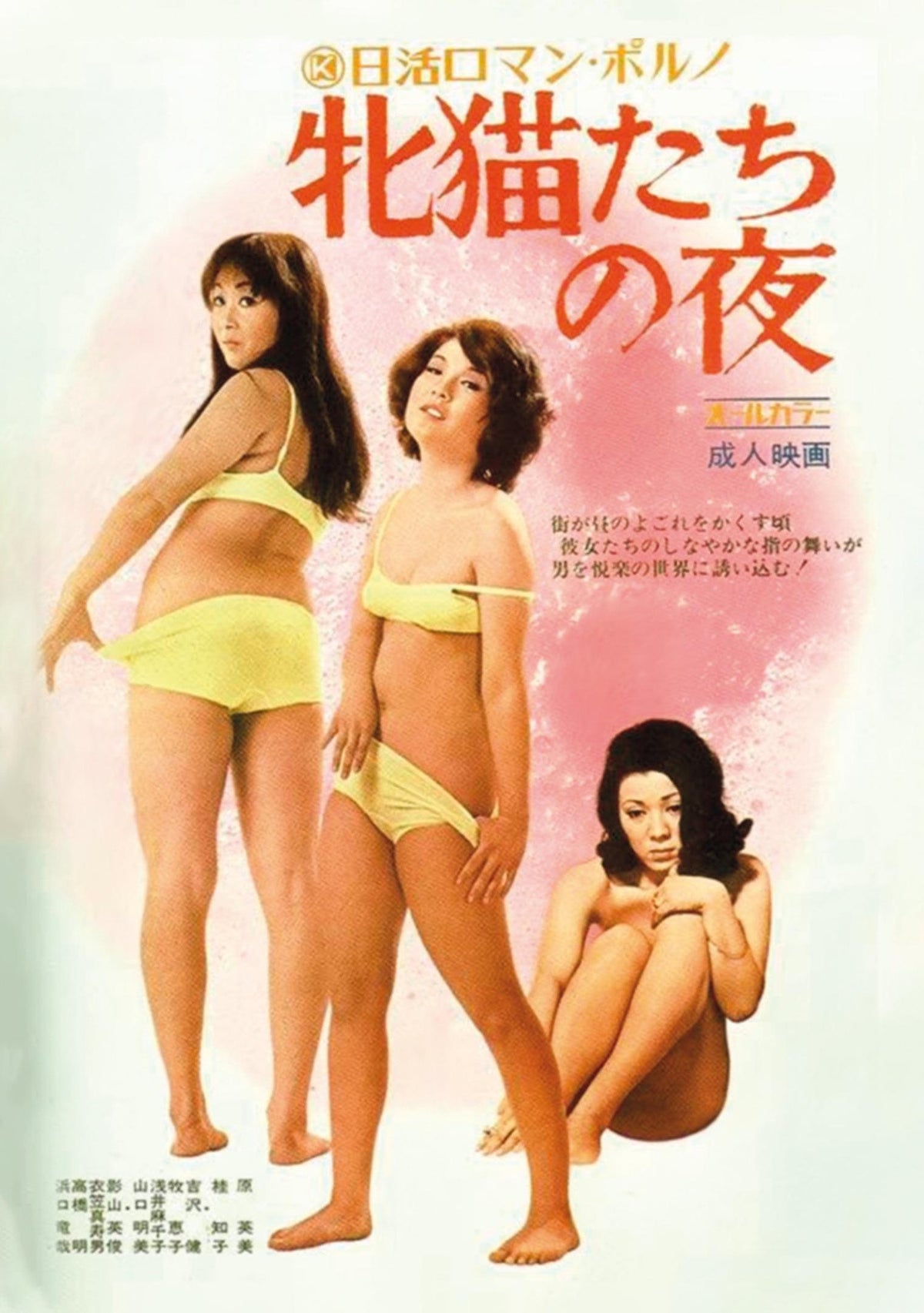 Nuits félines à Shinjuku [DVD]