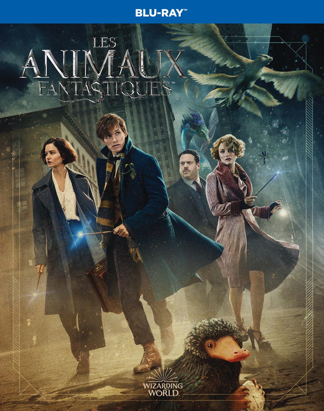 Les Animaux fantastiques [Blu-ray]