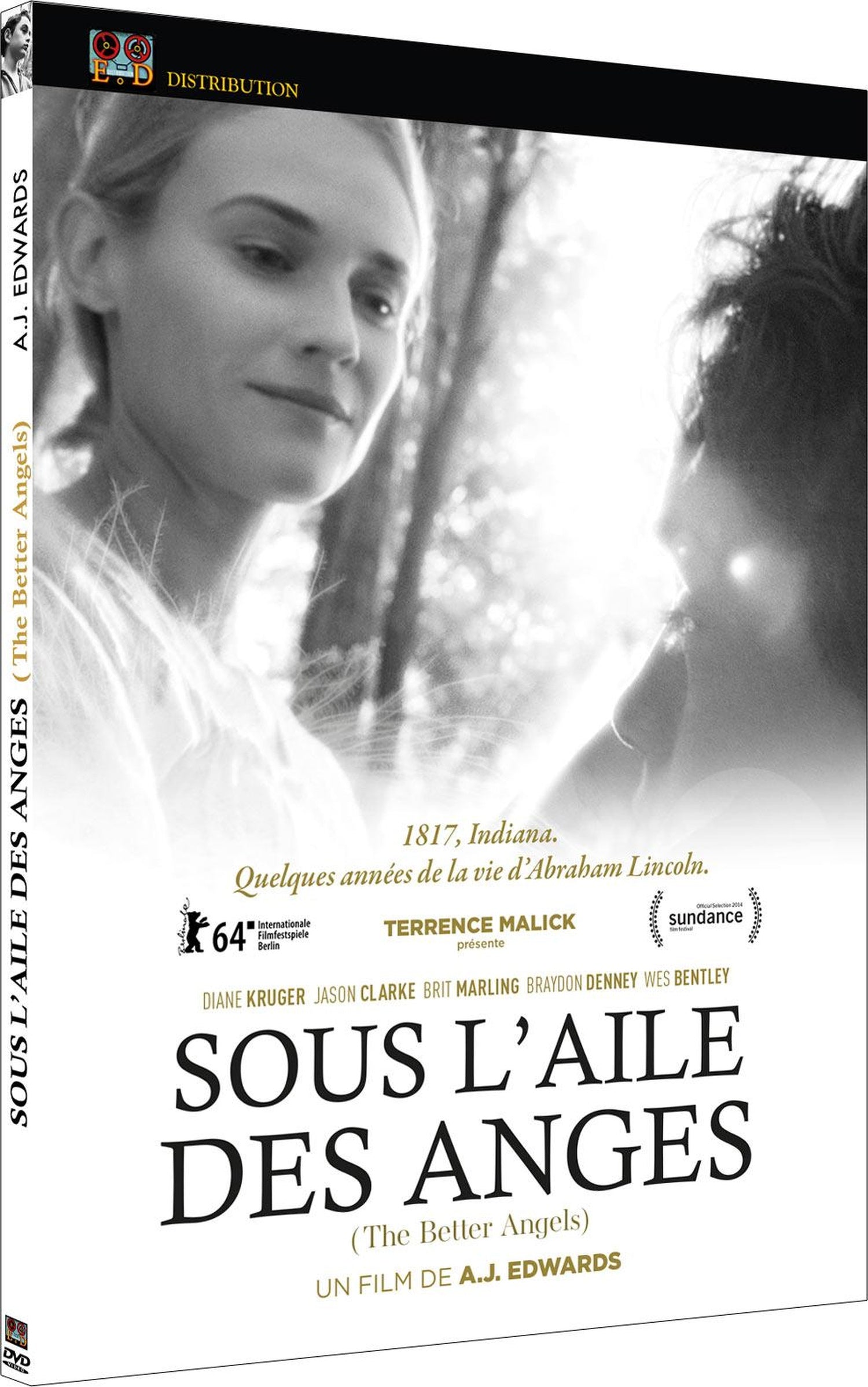 Sous l'aile des anges [DVD]