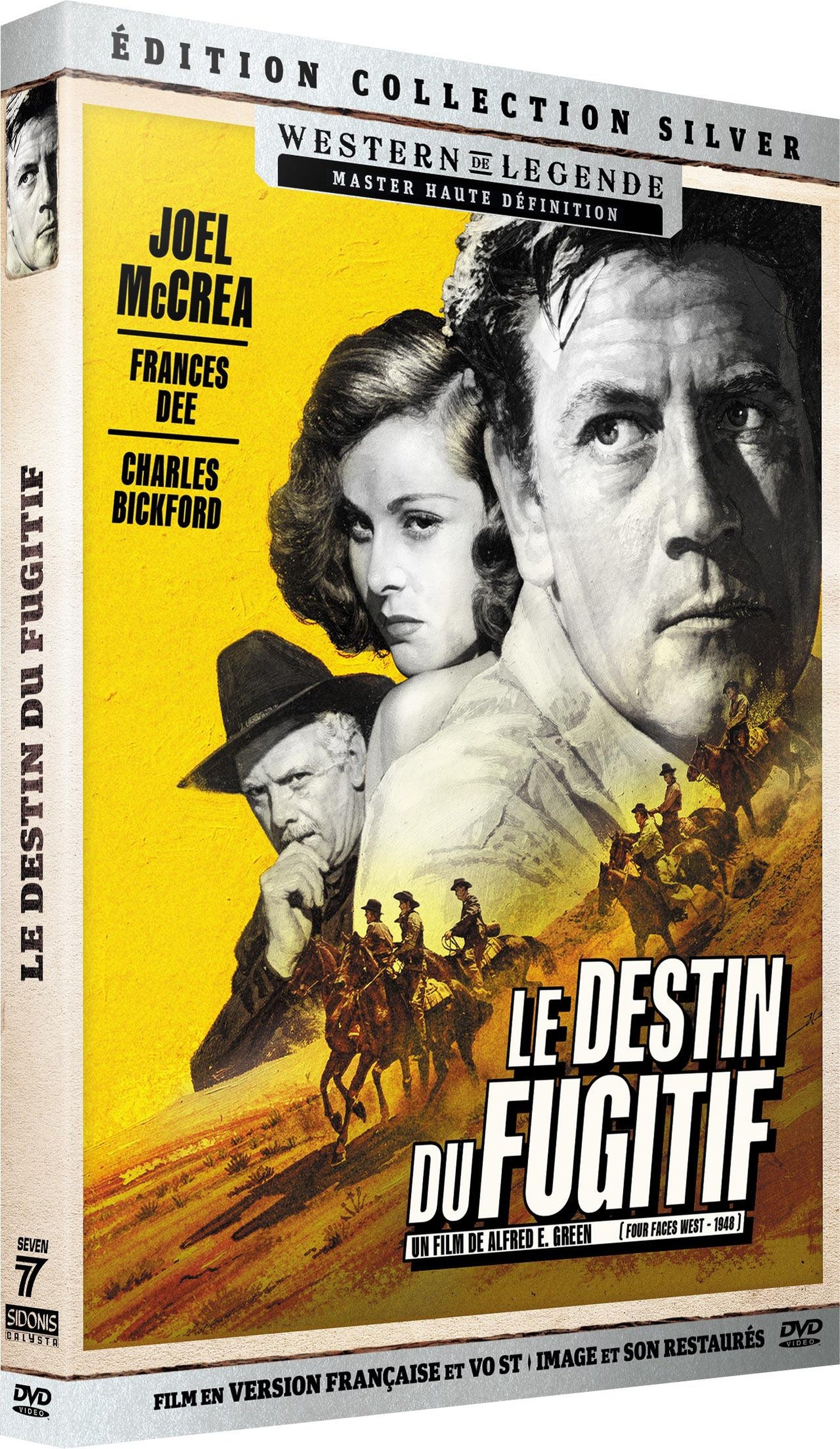 Le Destin du fugitif [DVD]