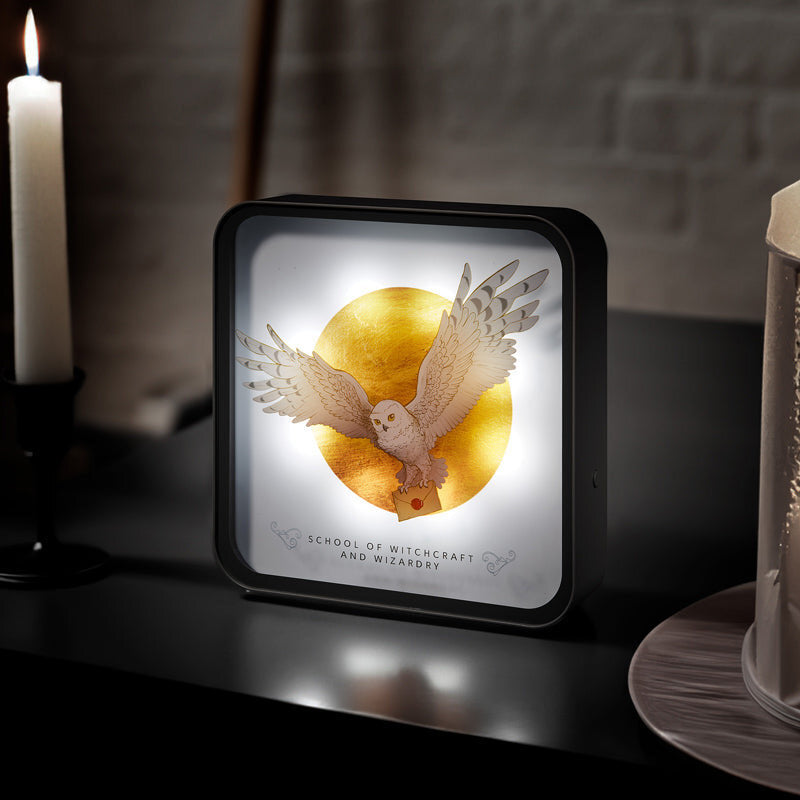 Harry Potter - Hedgwig avec Lettre - Lampe de bureau 3D