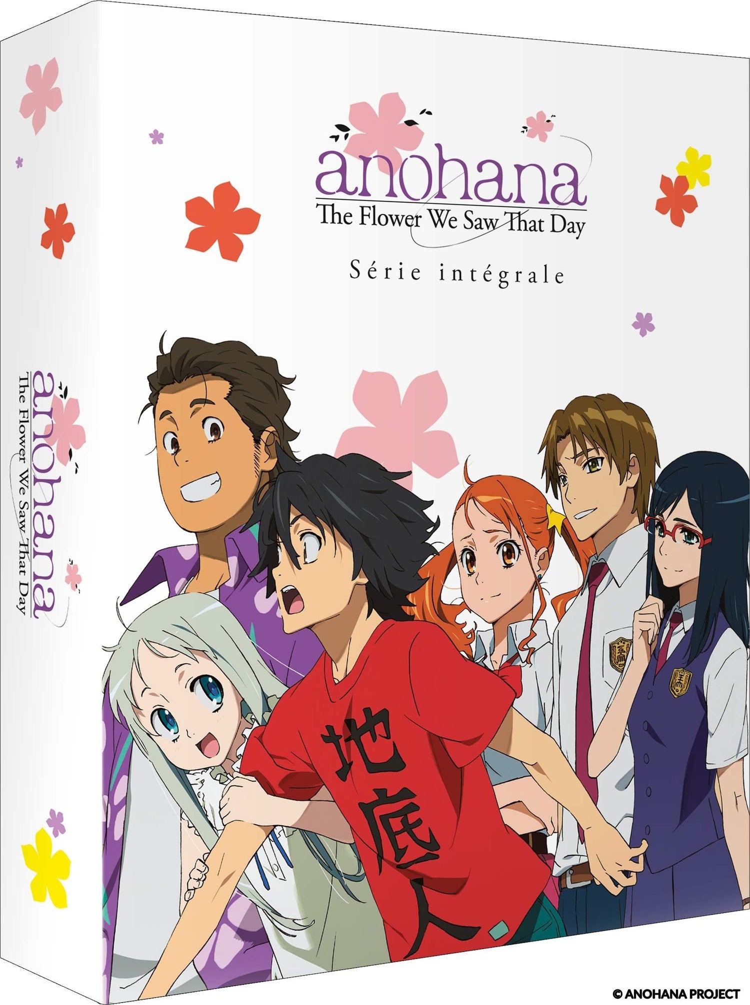Anohana - The Flower We Saw That Day - Série intégrale [DVD]