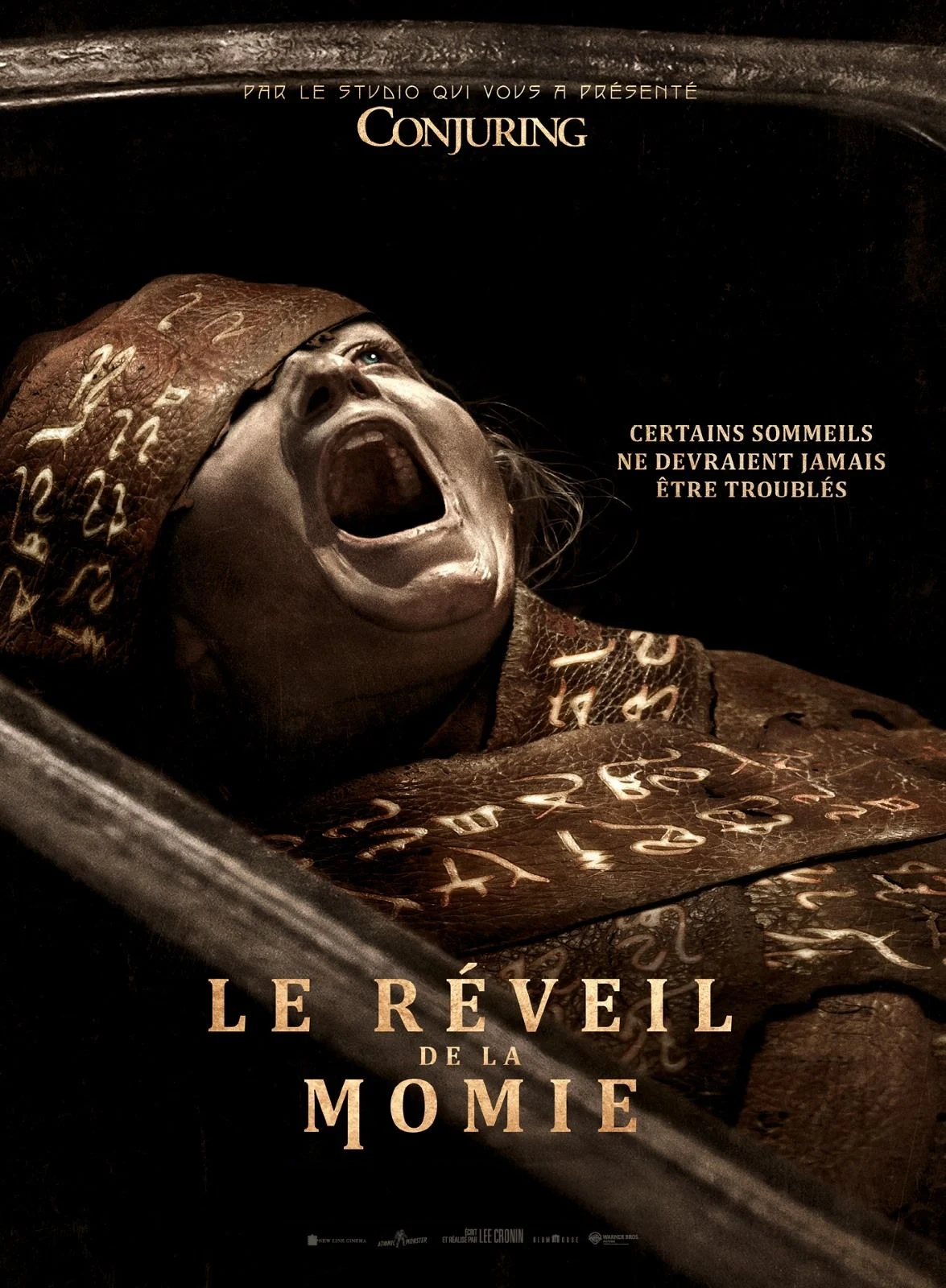 Le Réveil de la Momie [DVD/Blu-ray/4K UHD à la location]