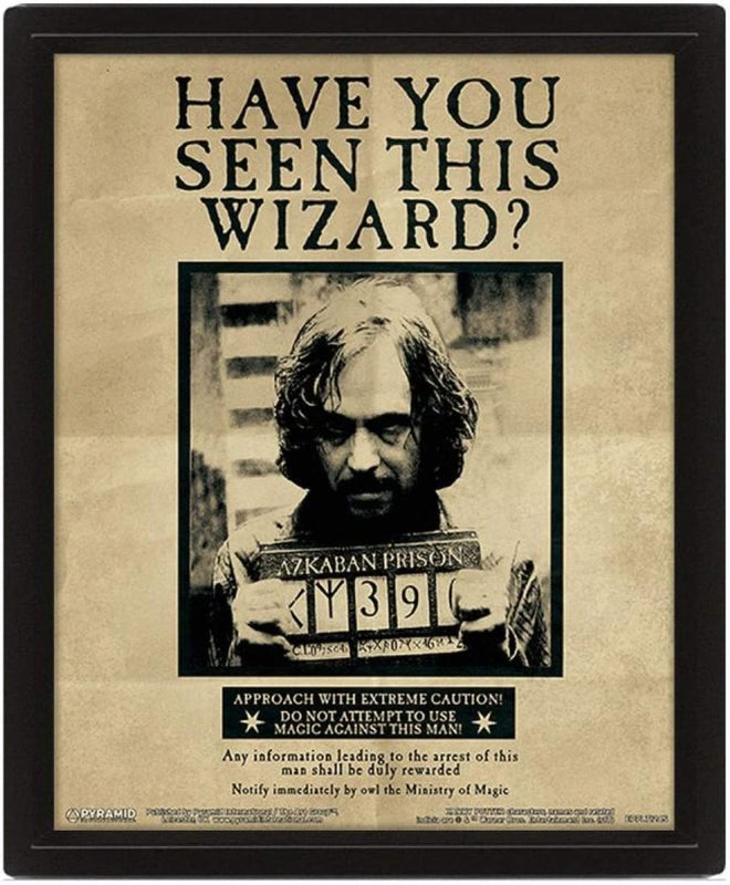 Harry Potter - Affiche lenticulaire 3D Harry Potter et Sirius Black -  28,7 x 23,5cm