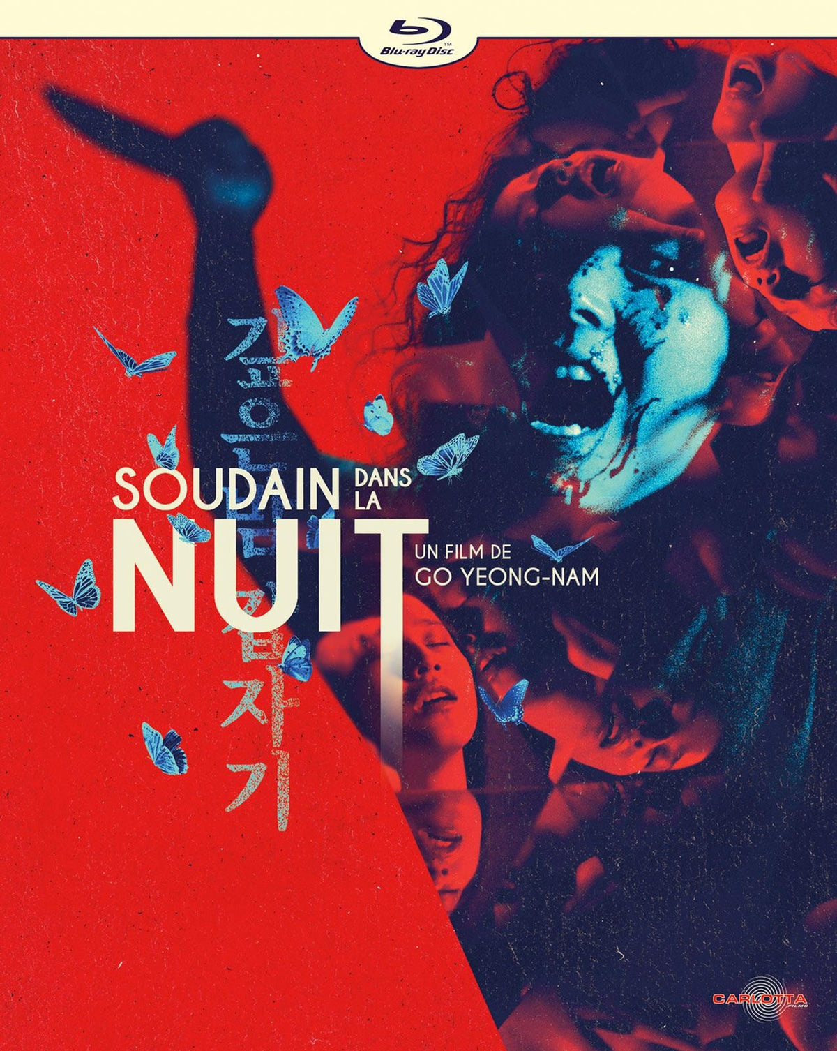 Soudain dans la nuit [Blu-ray]