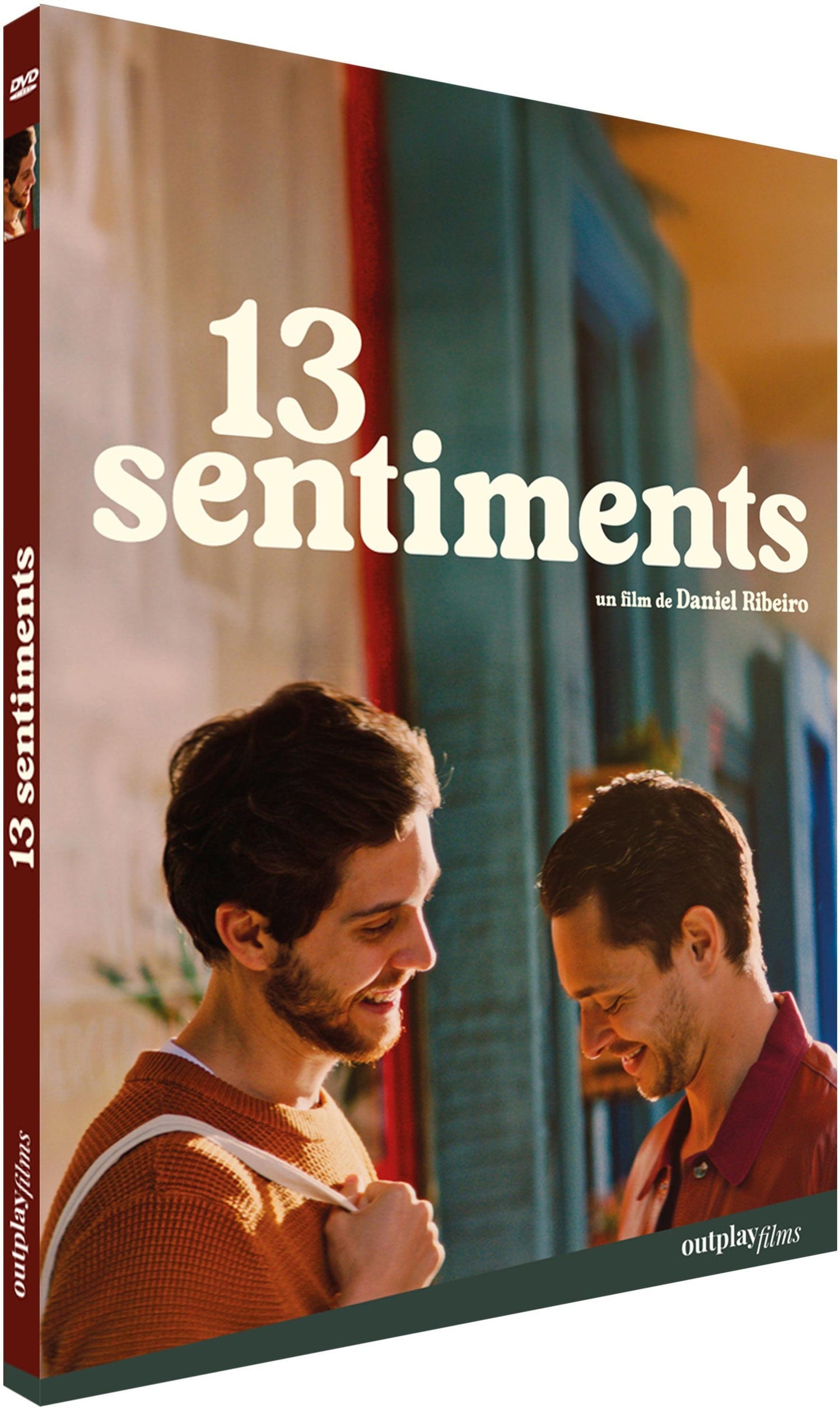 13 sentiments [DVD]