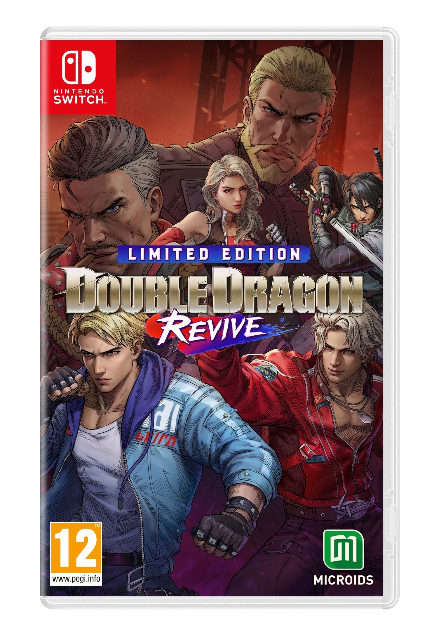Double Dragon Revive - Limited Edition