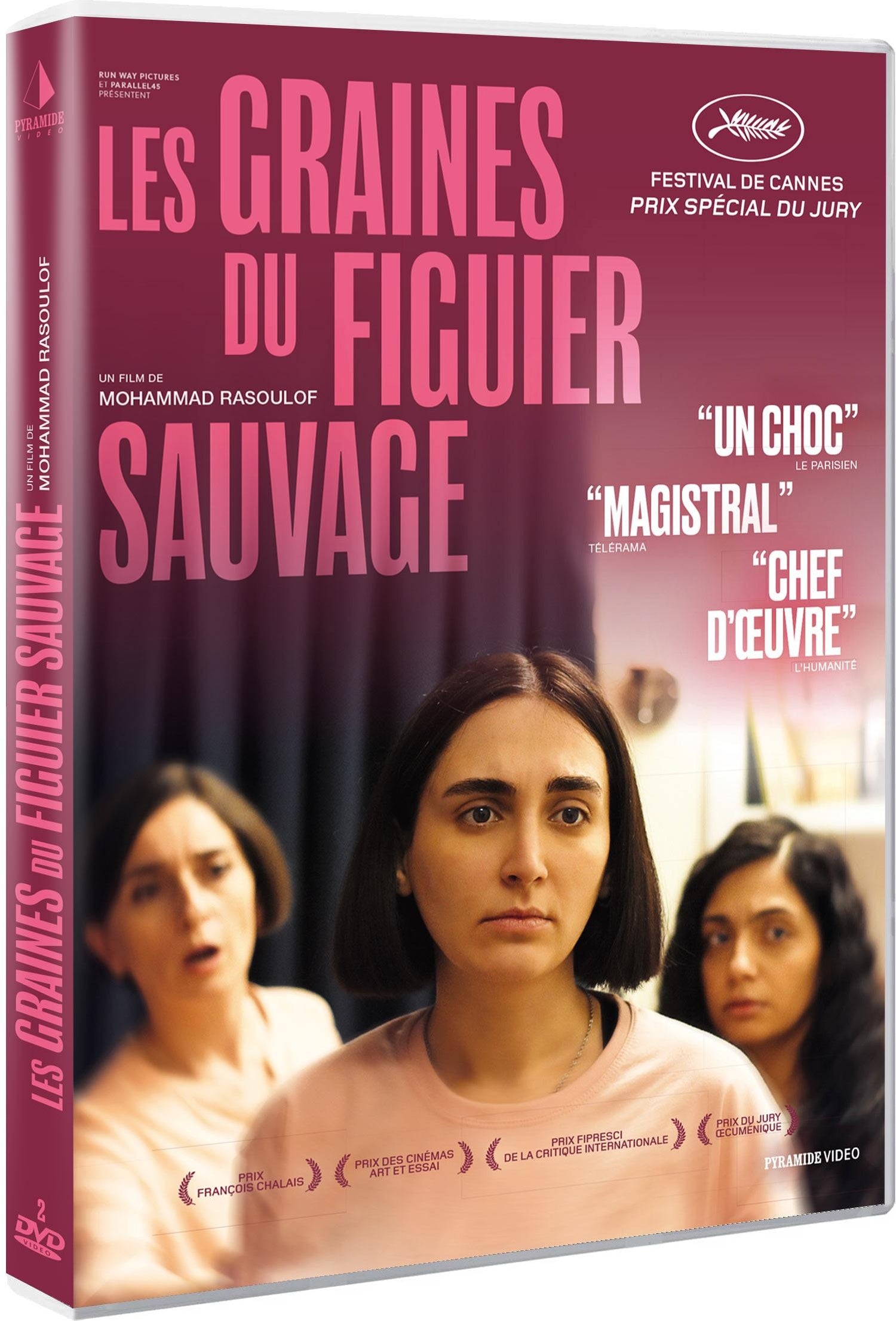 Les Graines du figuier sauvage [DVD]