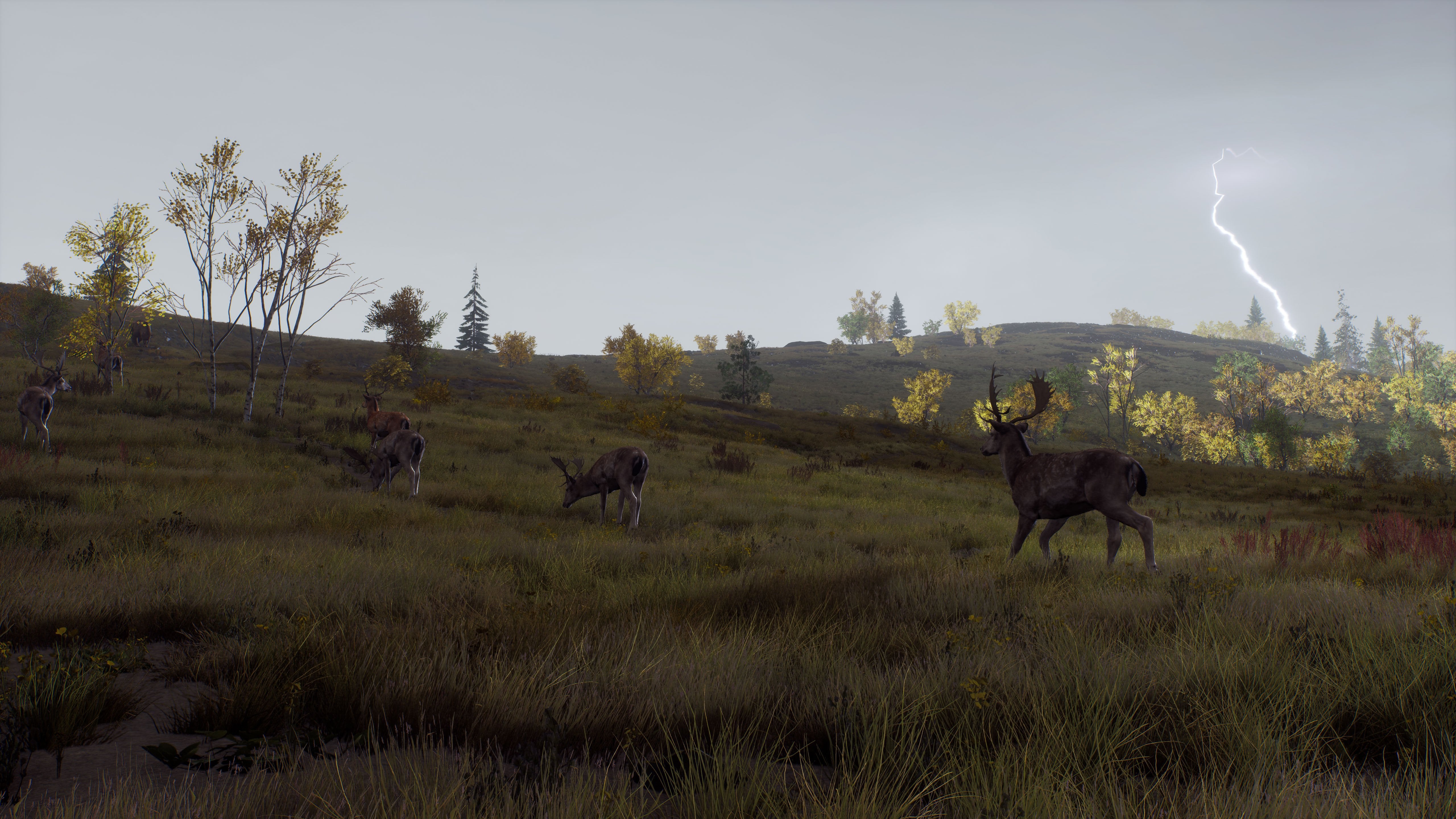 Way of the Hunter - Wild Expeditions - flash vidéo