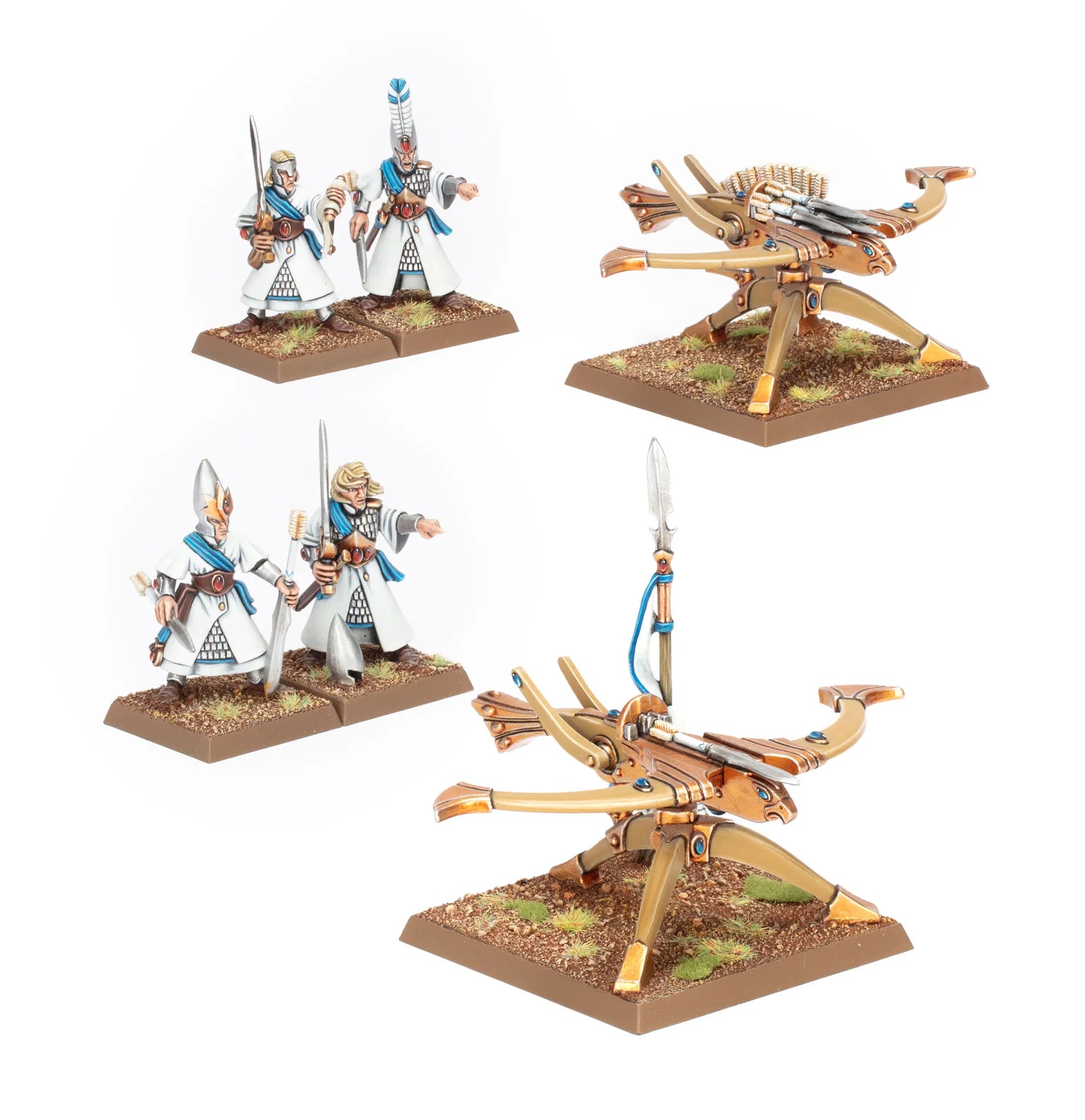 Balistes Serre d'Aigle