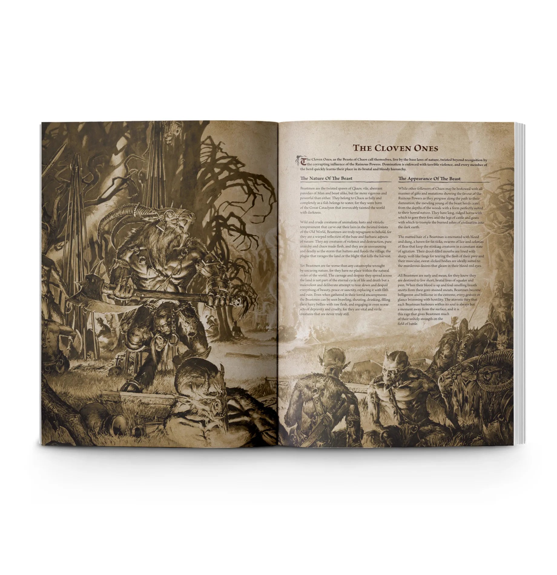 Arcane Journal: Beastmen Brayherds (Anglais)