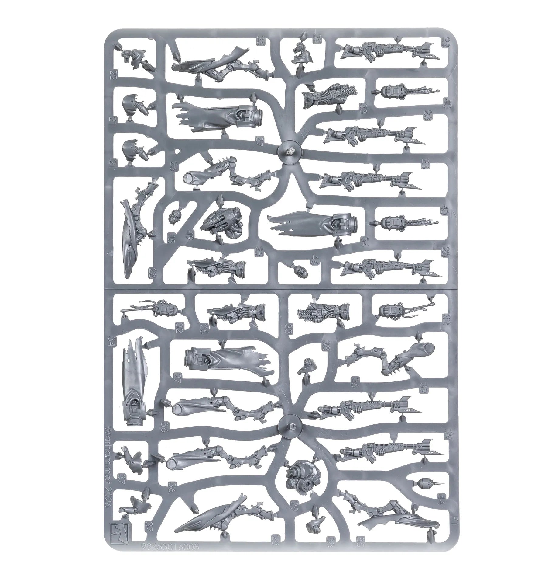 Corpus de Pérégrins de Combat Skitarii