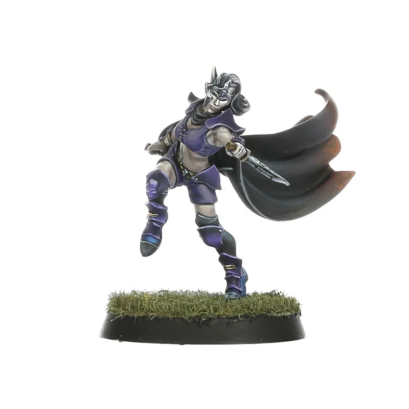Dark Elf Assassins