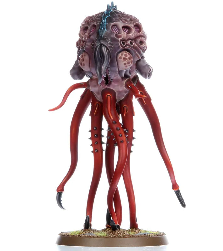 Sporocyst et Mucolid Spore