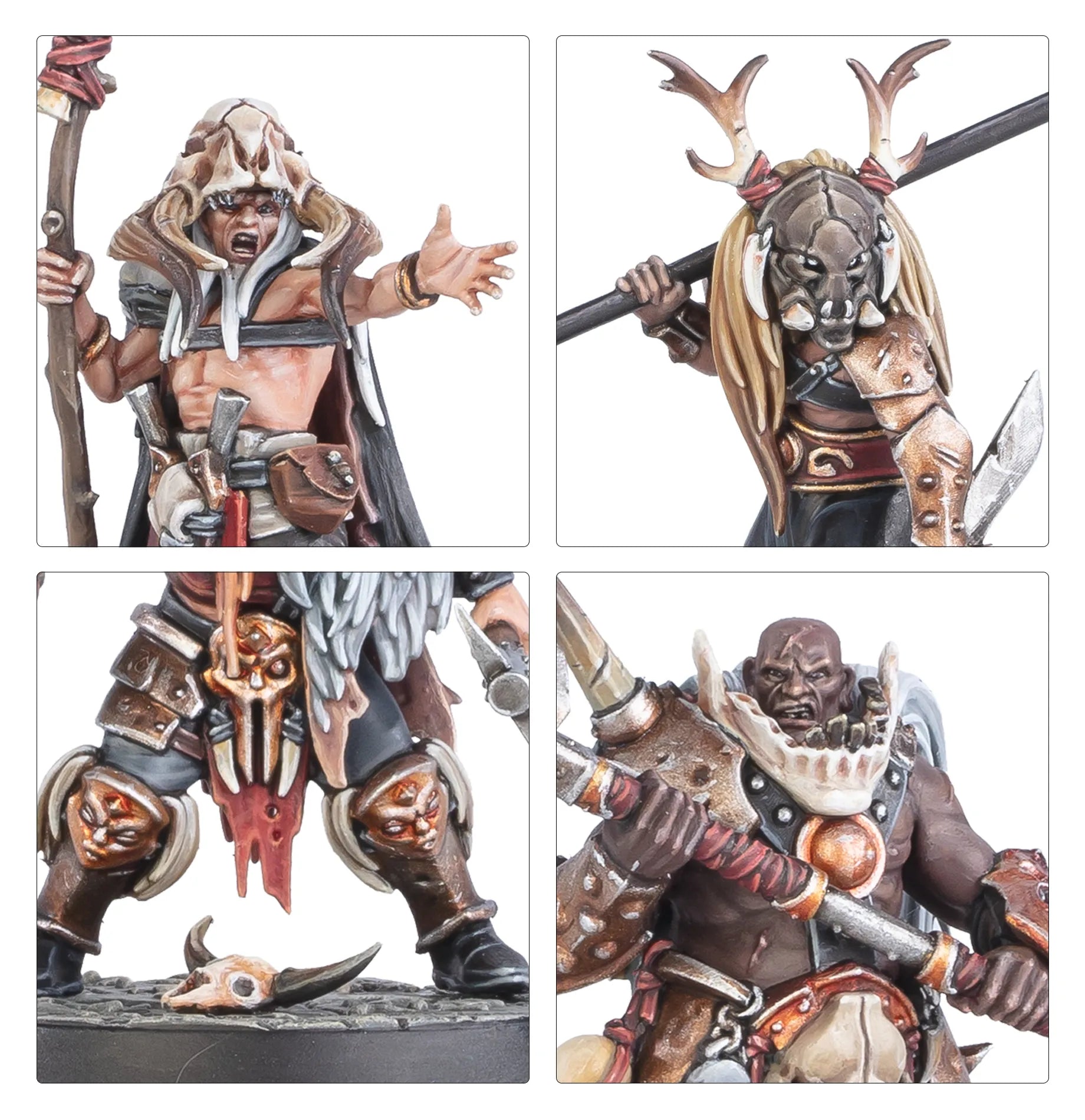 Bandes du Chaos: Pillards de la Ruine