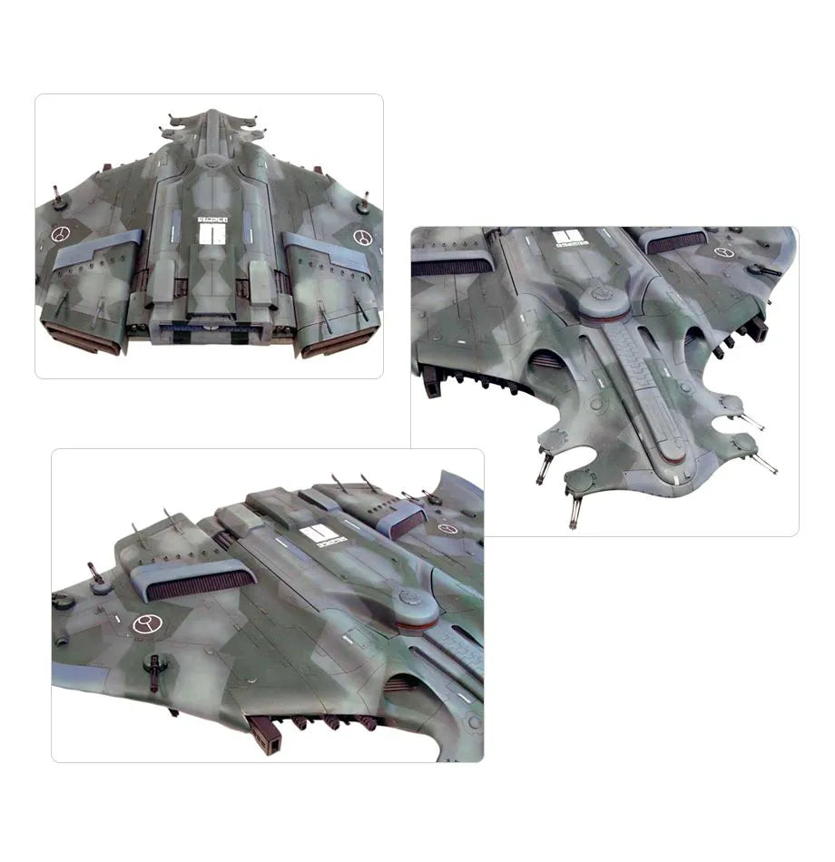 Manta