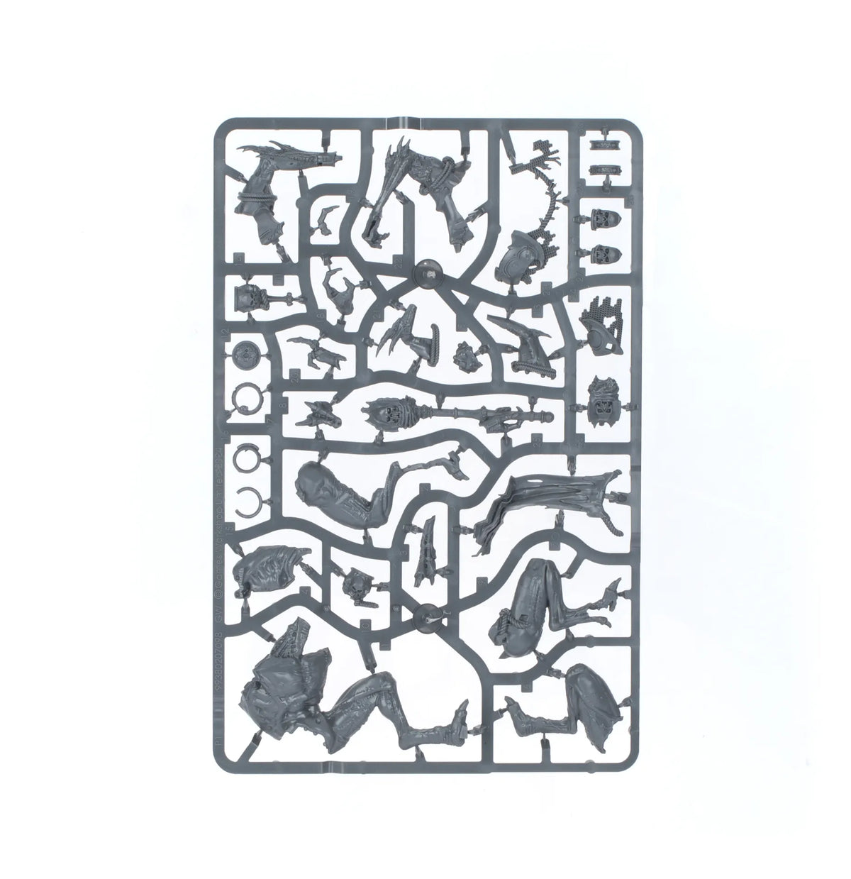 Ushoran, Mortarque du Delirium