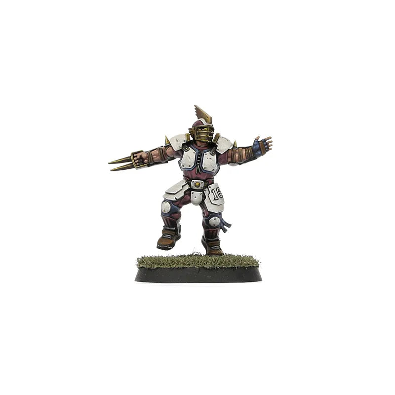 Équipe de Blood Bowl de l'Alliance du Vieux Monde – Middenheim Maulers