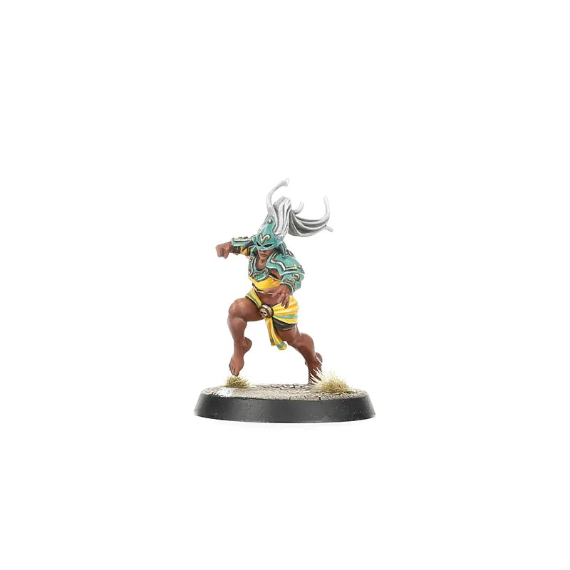 Équipe d'Amazones pour Blood Bowl : Kara Temple Harpies