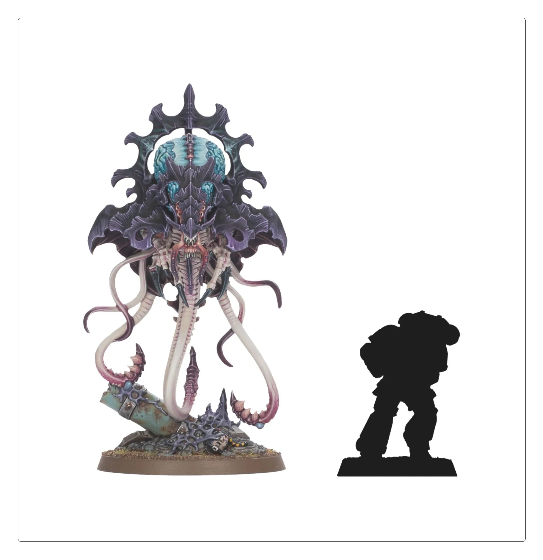 Horreurs de la Ruche