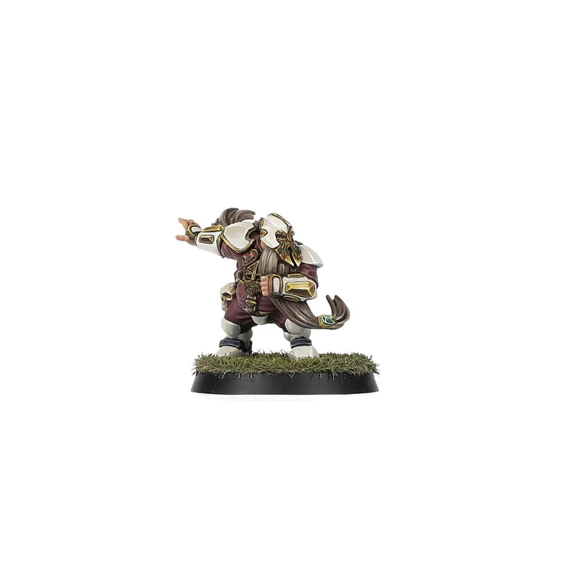 Équipe de Blood Bowl de l'Alliance du Vieux Monde – Middenheim Maulers