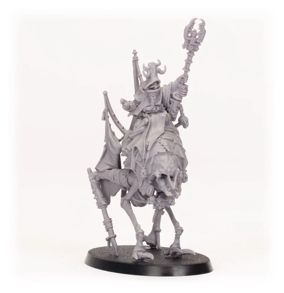 Ash Waste Nomads Wy'tari Stormcaller