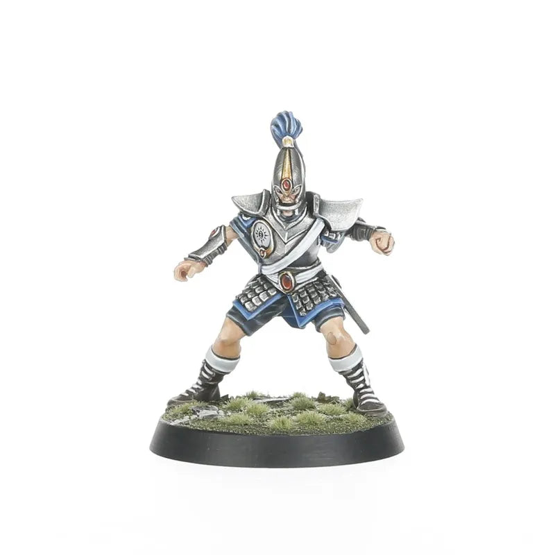 Équipe Blood Bowl de Hauts Elfes: Les Caledor Dragons