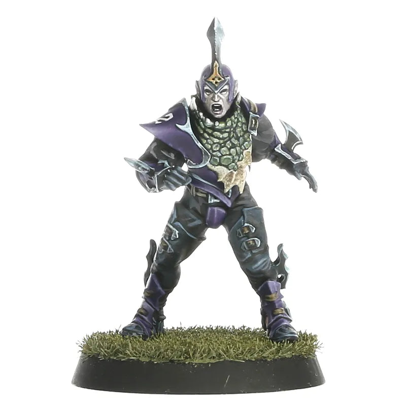 Équipe de Blood Bowl d'Elfes Noirs: Naggaroth Nightmares