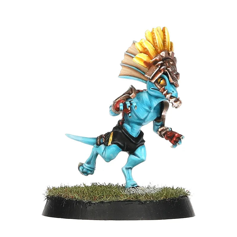Équipe de Blood Bowl d'Hommes-lézards: Gwaka'moli Crater Gators