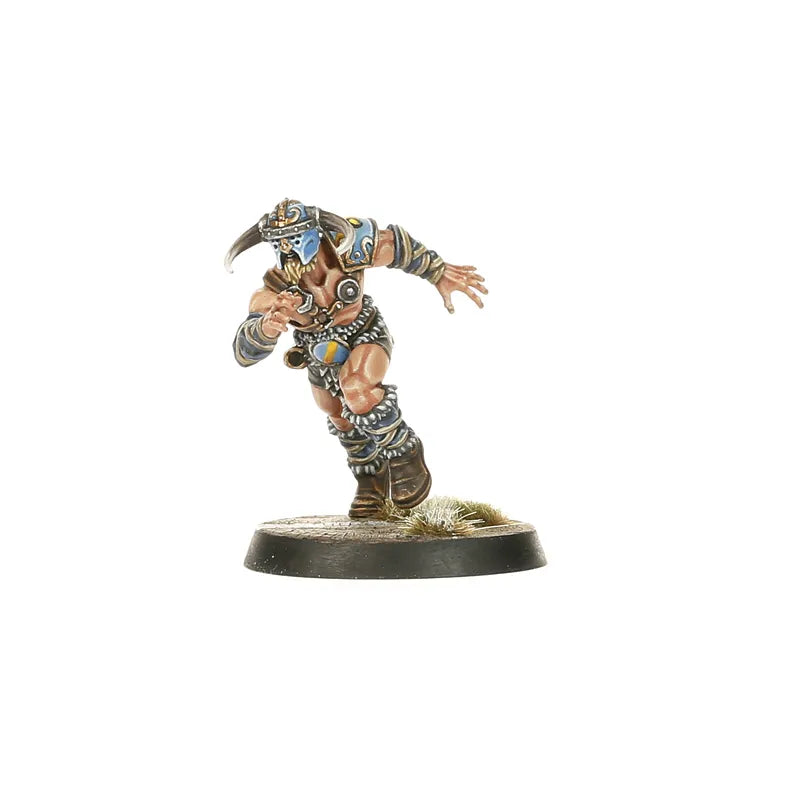 Équipe de Blood Bowl de Nordiques: Norsca Rampagers