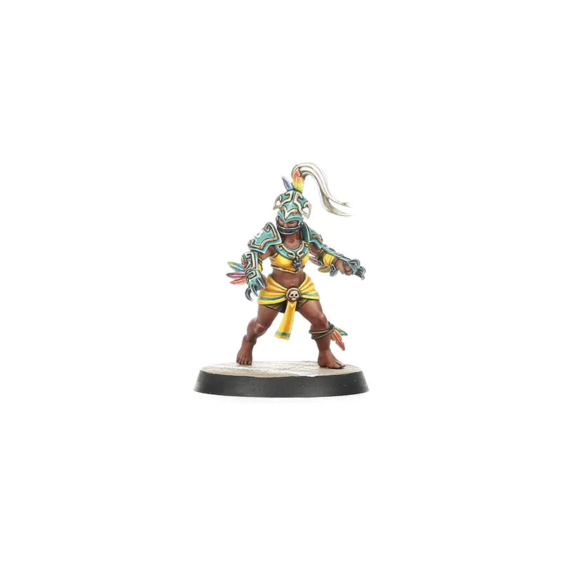 Équipe d'Amazones pour Blood Bowl : Kara Temple Harpies